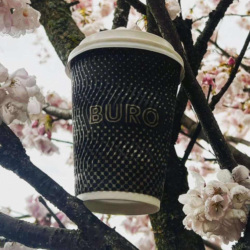 coffe cup in cherry blossom tree